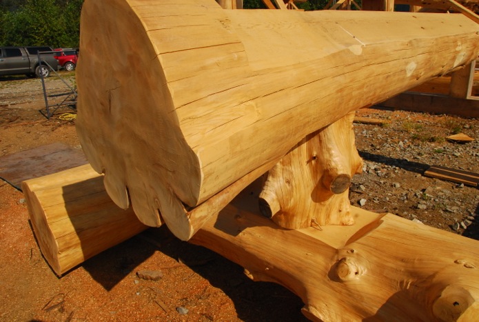 Преимущества древесины с большим диаметром